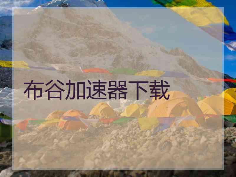 布谷加速器下载