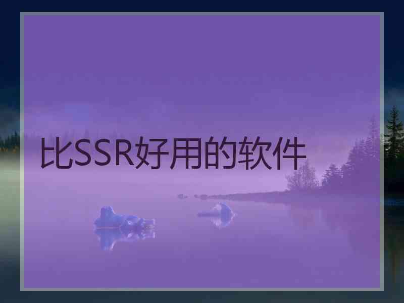 比SSR好用的软件