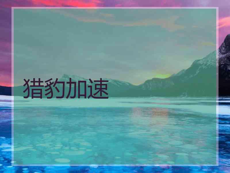 猎豹加速