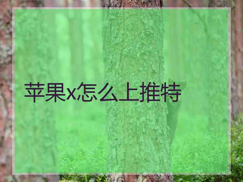 苹果x怎么上推特