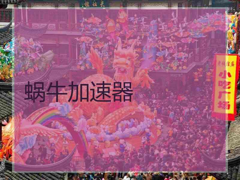 蜗牛加速器