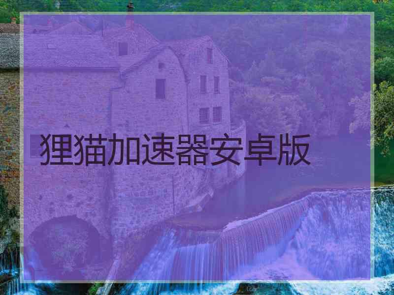 狸猫加速器安卓版